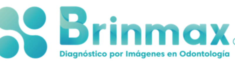 Logo Brinmax